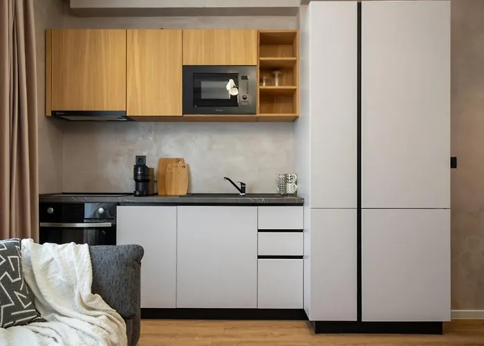 Manu Art Living Edition Victoriei Appartement *