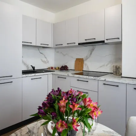 Daire Manu Art Living Edition Victoriei Bükreş