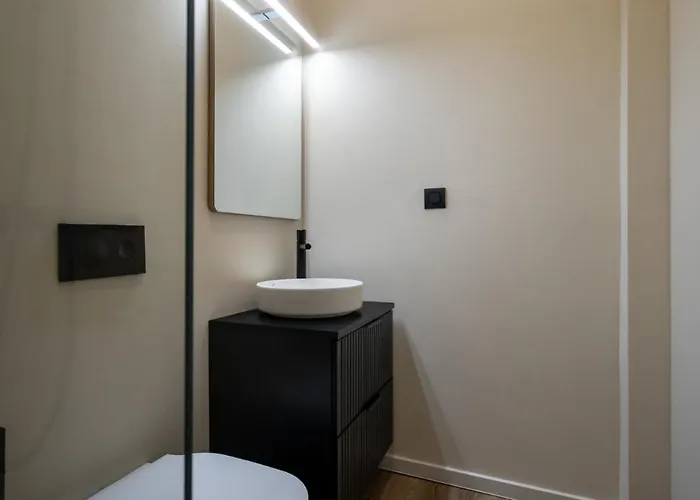 Manu Art Living Edition Victoriei Apartment