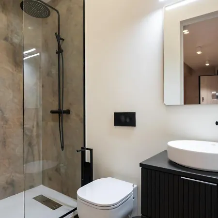 Manu Art Living Edition Victoriei Apartment *